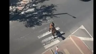 Винету в Пловдив! Мъж препуска с кон по улиците на града