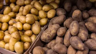 Картофена криза връхлетя Русия: Скокът в цените счупи 20-годишен рекорд