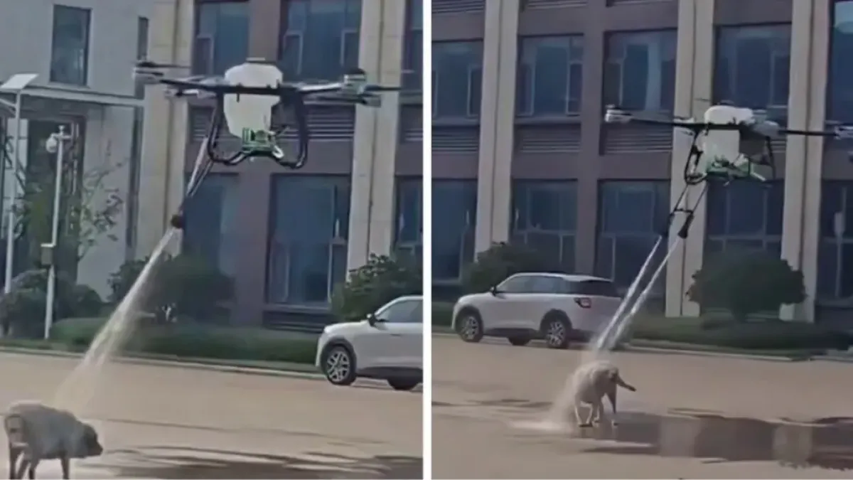 Дрон изми куче в Китай