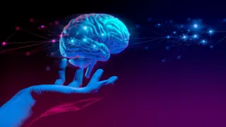 Експерти по сигурността с отворено писмо: Нямаме ресурс да проверяваме новите алгоритми