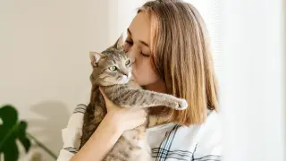 Тайният свят на котките: Учени доказаха, че любимците ни знаят имената и лицата на цялото семейство