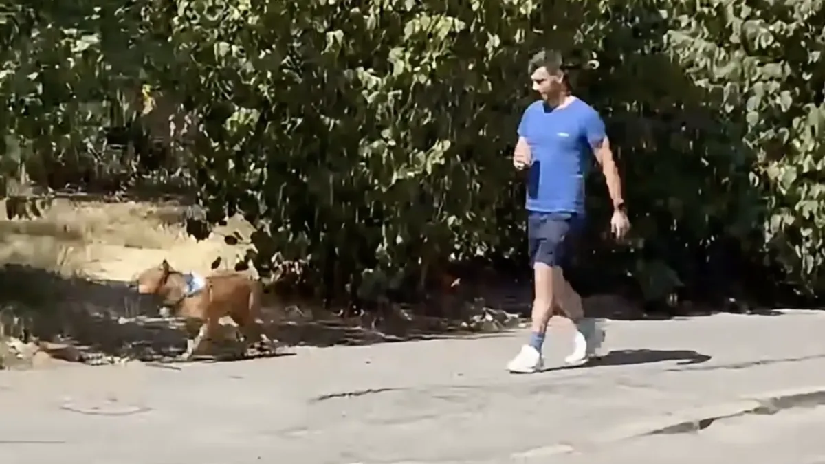 Спор в „Младост“ след видео на питбул без каишка и намордник край детска площадка