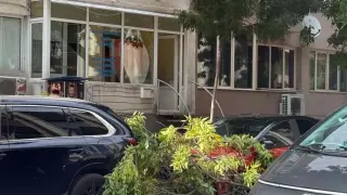 Инцидент в центъра на Варна: Паднал клон троши кола пред очите на майка с количка
