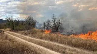 40 души са евакуирани от вилна зона "Отдих" заради пожара край Михилци