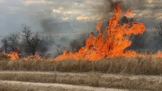 Опасна ситуация в Пловдивско: BG-ALERT предупреждава за пожар, спешно евакуират вилна зона