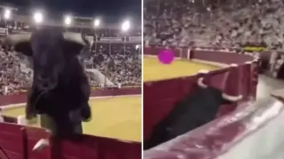 Бик изскочи от арената в Испания