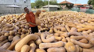 Горски извор е осеян с тикви за 1 евро на килограм