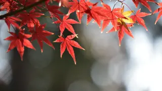 От 8 до 23 градуса в неделя, на места ще превали