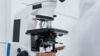 Български учени разкриха ключ към рядко генетично заболяване