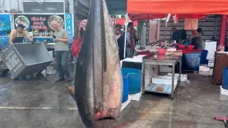 Морски гигант с тегло 160 кг предизвика сензация на пазар в Турция
