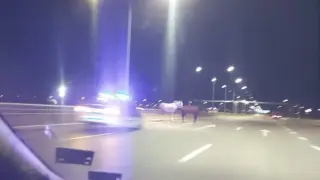 Нощем с белите коне: Полицията на крак на Околовръстното в София