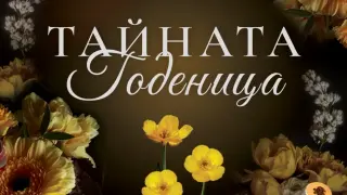 "Тайната годеница" от Катарина Маура