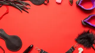 С "умни секс играчки" Русия заобикаля санкциите за внос на западна техника