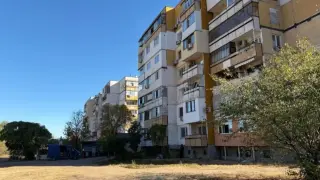 Врачански квартал осъмна с десетки трупове на животни - до детска градина и парк