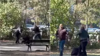Заснеха жесток побой над мъж в столична градинка, предисторията се оказа още по-стряскаща