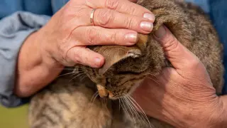 Искаш ли да накажеш някого, пожелай му самота