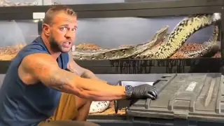 Голяма змия счупи стъклото на терариум