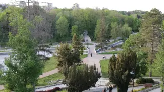 Павел го няма от 6 октомври: Може да е затворен и без вода, смята от Добрич жена за кучето си Снимка
