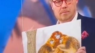 Мощен расистки скандал разтърси Световното: Сравниха играчи с маймуни!