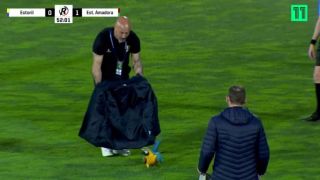 Смях! Папагал шашна всички на футболен мач