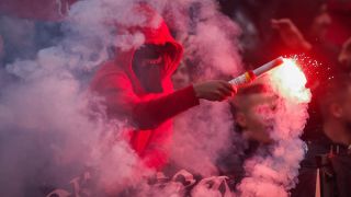 Грозни сцени: Бой между цесекари ВИДЕО 18+