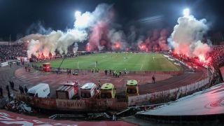 Цесекари с надъхващи кадри ВИДЕО