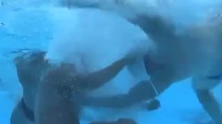 Случи се нещо невиждано в битка между сърби и американци ВИДЕО