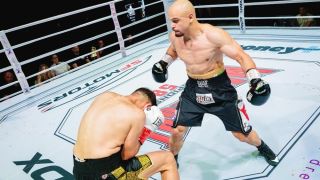 Известен левскар потроши ребрата на германец ВИДЕО
