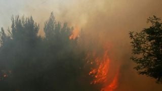 Ексклузивна информация за 19-годишния Светльо, пострадал тежко при пожарите