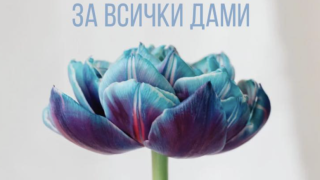 Спартак (Плевен) с жест към по-нежния пол