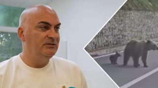 Българинът, нападнат от мечка в Румъния: Опита се да ме извади от колата