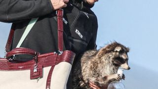 Устроиха грандиозно посрещане на норвежките футболисти в Осло