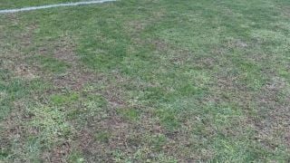 БФС предупреди Локо (Пд) за нивата на "Лаута"