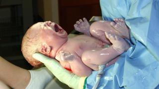 Шарън Кинг: С Пренареждане на матрицата откриваме причини за безплодието