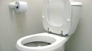 Грешна поза в тоалетната води до рак