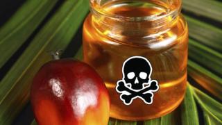 Важно за потребителите: СПИСЪК на производителите на млечни продукти, които използват палмово масло