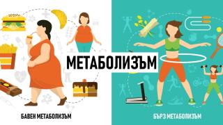 Най-лошите храни за метаболизма: какво да избягваме, ако искаме здраво и енергично тяло