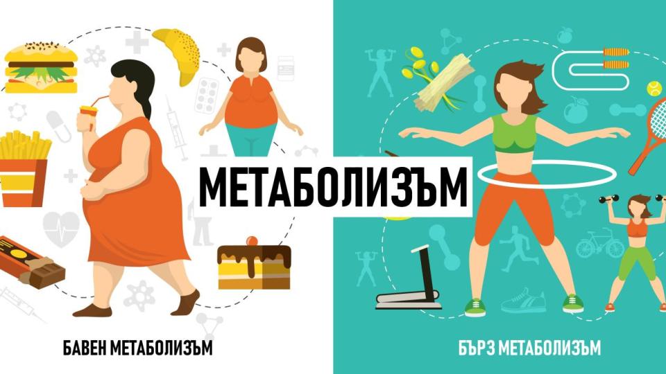 Най-лошите храни за метаболизма: какво да избягваме, ако искаме здраво и енергично тяло