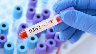 Мутацията К на грип А H3N2 е опасна