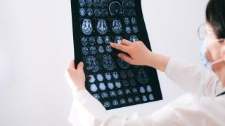 Американски учени откриха ключ към остър ум след 50-годишна възраст