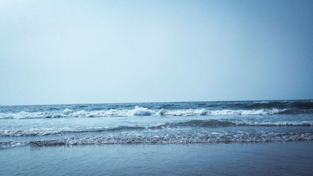 „Бактерия човекоядец“ в морето: лекар обяснява дали има повод за тревога тази година