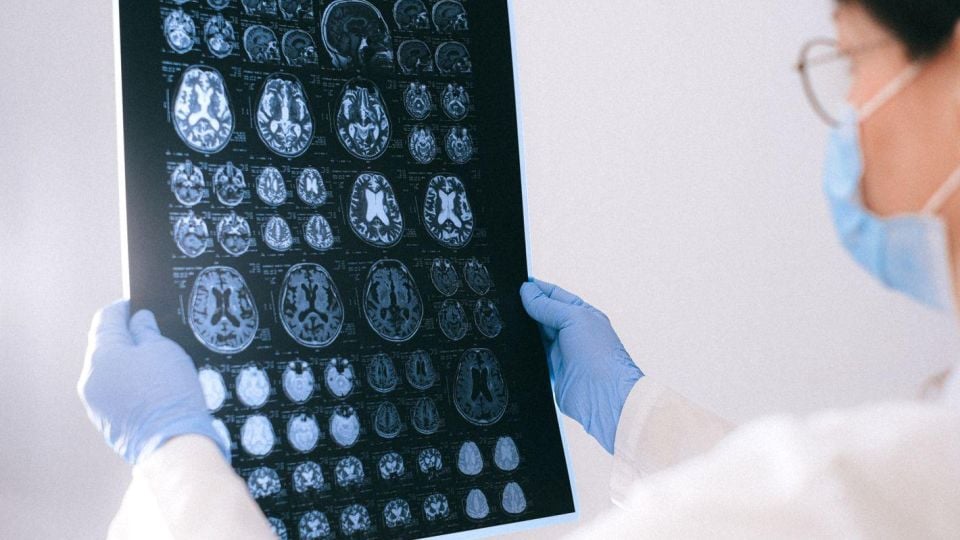 Учени: Може да подмладим мозъка с 13 години, ако знаем езици
