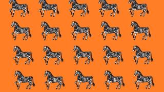 Светът полудя по тази загадка, ще се справите ли за 20 секудни?