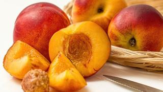 Невероятно: Плодът на безсмъртието лекува 50 болести!