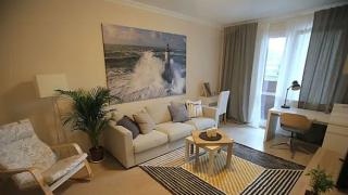 Никога не слагайте това растение в дома си, носи бедност, безпаричие и...