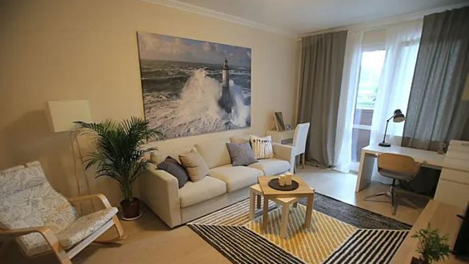 Никога не слагайте това растение в дома си, носи бедност, безпаричие и...