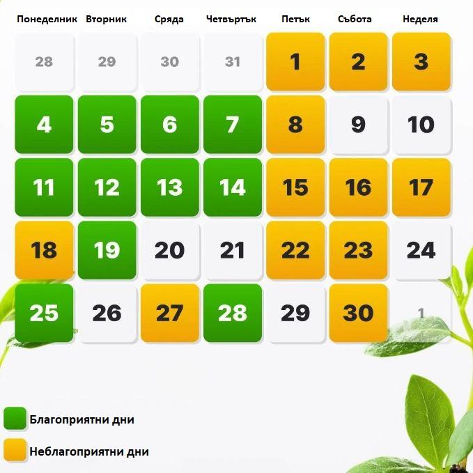 Сеитбен КАЛЕНДАР за ноември! Всеки градинар трябва да знае тези важни дати