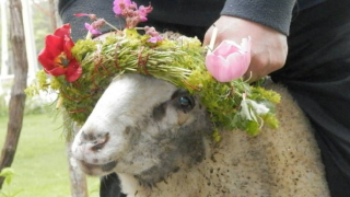 Голям празник с куп обреди е във вторник! Ето какво се прави за крепко здраве и берекет