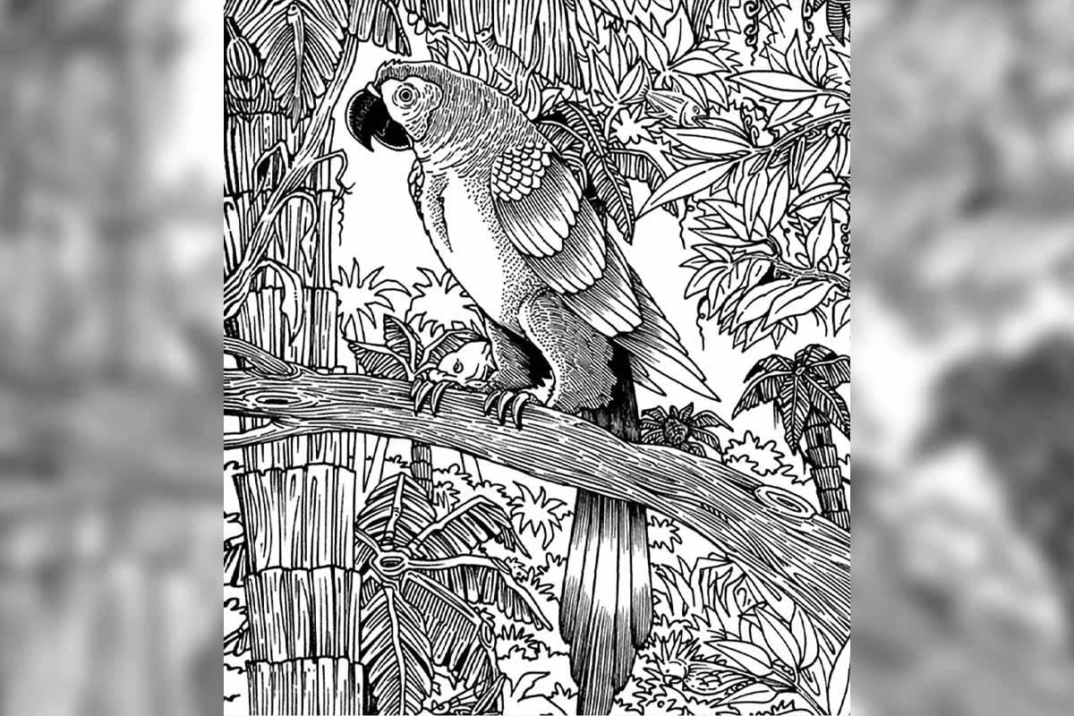 Бразилски тест разкрива за 1 минута имате ли деменция