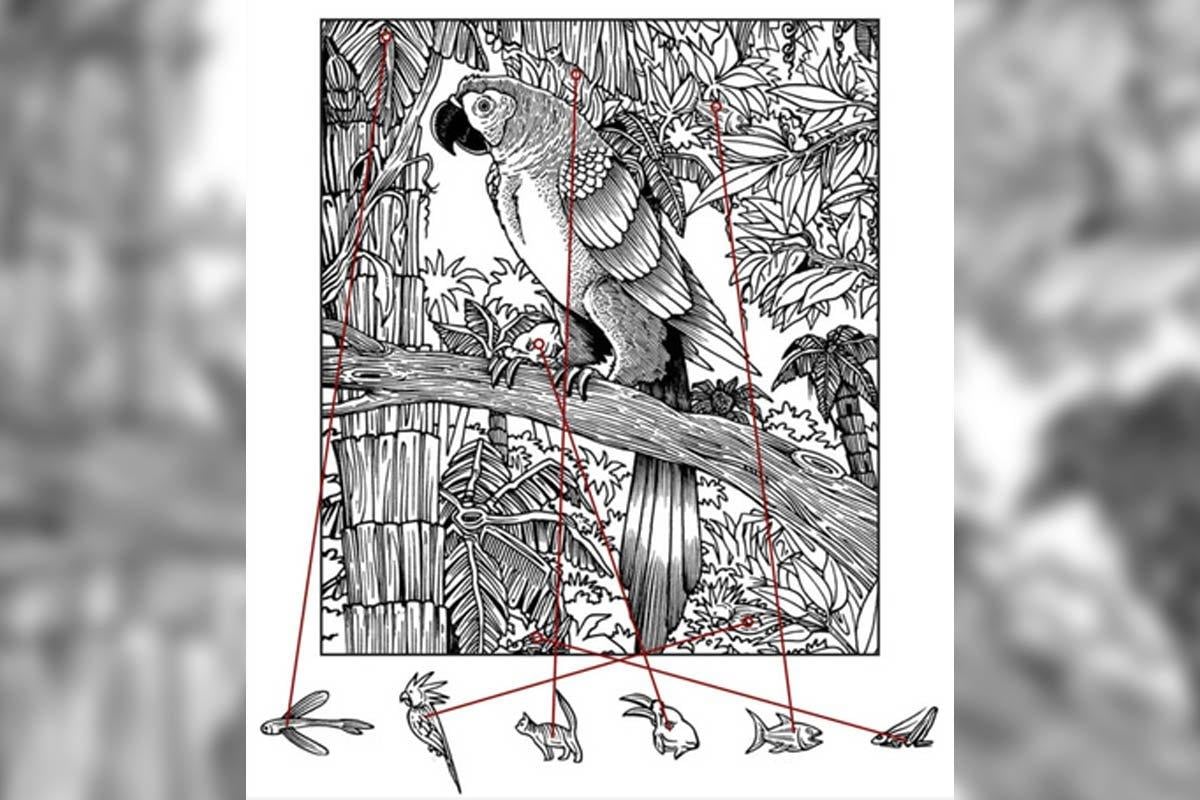 Бразилски тест разкрива за 1 минута имате ли деменция